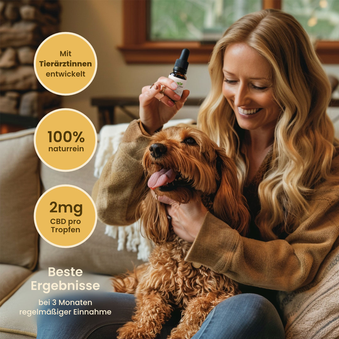 3x CBD-Öl für Hunde 10% 10 ml – Bild 3